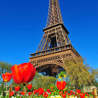 Buy canvas prints of Eiffel Tower by Navin Mistry