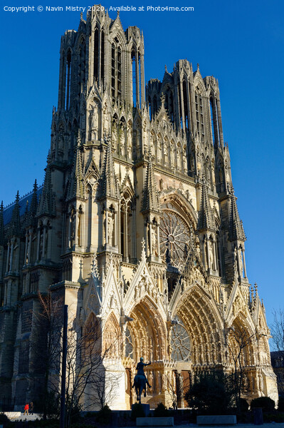 Cathédrale Notre-Dame de Reims, France Picture Board by Navin Mistry