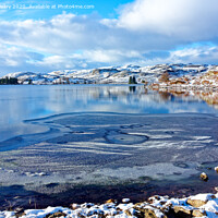 Buy canvas prints of Winter at Loch Ordie, near Dunkeld, Perthshire  by Navin Mistry