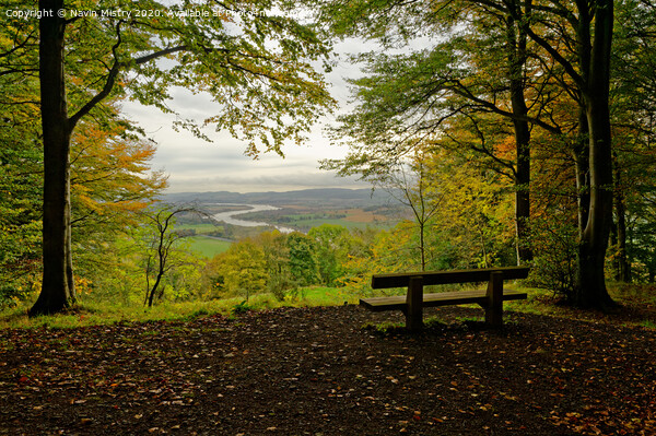 A viewpoint in the Kinnoull Hill Woodland, Perth Scotland Picture Board by Navin Mistry