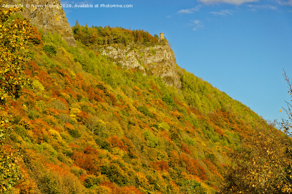 Autumn Colours, Kinnoull Hill, Perth Scotland Picture Board by Navin Mistry