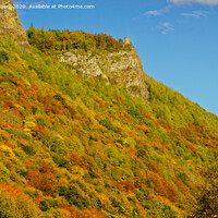 Buy canvas prints of Autumn Colours, Kinnoull Hill, Perth Scotland by Navin Mistry