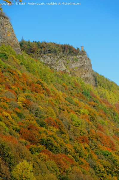 Autumn Colours, Kinnoull Hill, Perth Scotland Picture Board by Navin Mistry