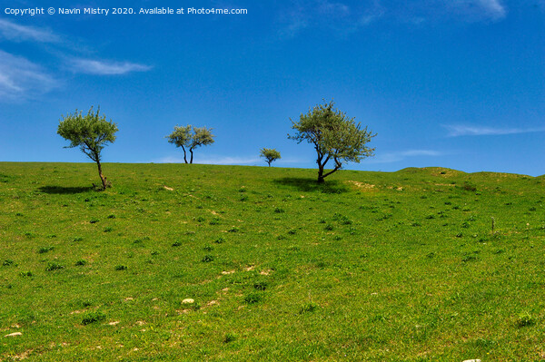 The lush green landscape close to the Besh Barmag (Five Finger) Mountain, Baku, Azerbaijan Picture Board by Navin Mistry