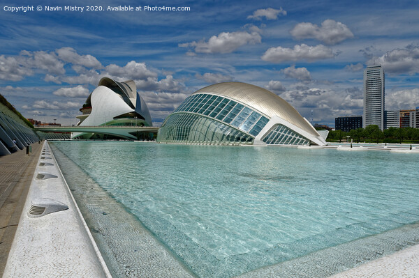 The City of Arts and Sciences, Valencia, Spain  Picture Board by Navin Mistry