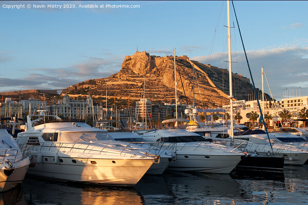 The Marina, Alicante, Spain  Picture Board by Navin Mistry
