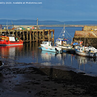 Buy canvas prints of Fishing boats in Cromarty Harbour by Navin Mistry