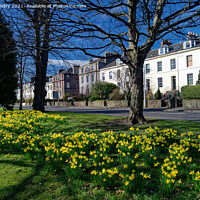 Buy canvas prints of The South Inch, Perth, Scotland in spring time by Navin Mistry