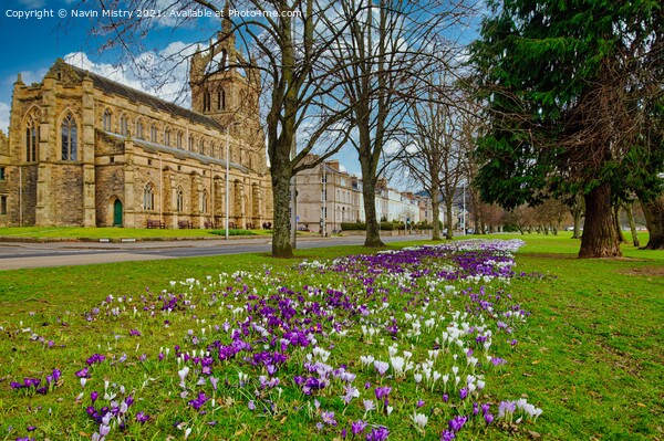 The South Inch, Perth, Scotland seen in springtime Picture Board by Navin Mistry
