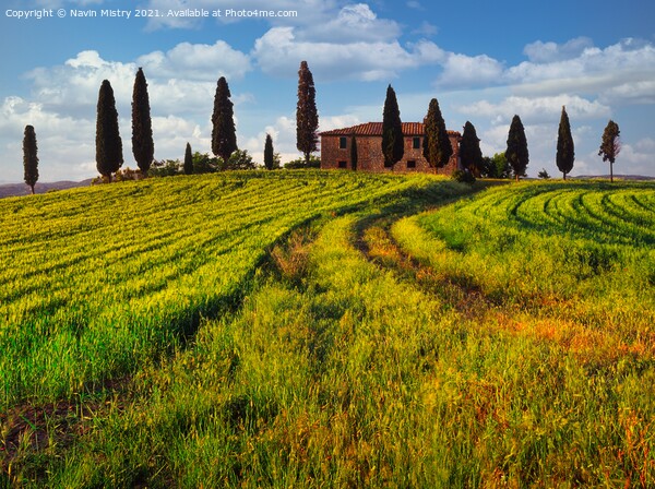 A farm house, Tuscany, Italy Picture Board by Navin Mistry