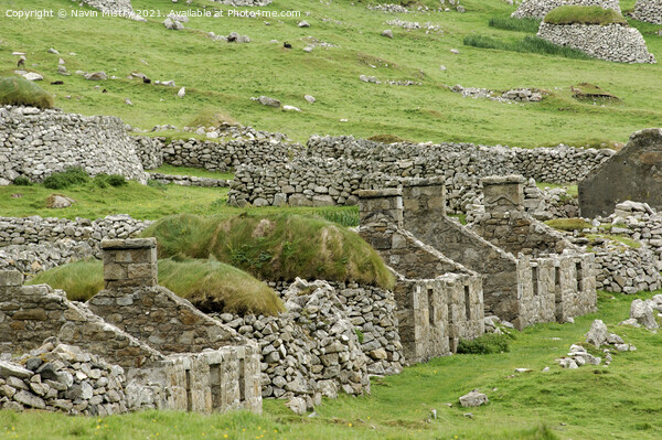 The ruins of the Main Street, Hirta, St. Kilda, Ou Picture Board by Navin Mistry