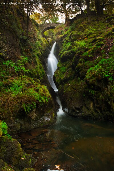 Aira Force Waterfall Lake District National Park, England Picture Board by Navin Mistry