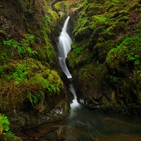 Buy canvas prints of Aira Force Waterfall Lake District National Park, England by Navin Mistry