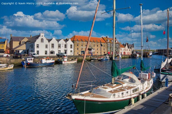 Eyemouth Harbour, Berwickshire Scotland  Picture Board by Navin Mistry