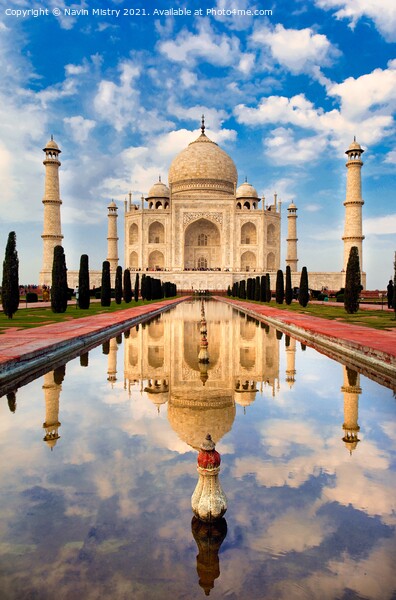 Taj Mahal, Agra India Picture Board by Navin Mistry