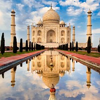Buy canvas prints of Taj Mahal, Agra India by Navin Mistry