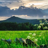 Buy canvas prints of A view of Bennachie, Aberdeenshire, Scotland by Navin Mistry