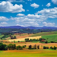 Buy canvas prints of Tuscany Landscape, Italy by Navin Mistry