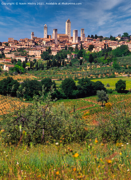 San Gimignano, Italy Picture Board by Navin Mistry