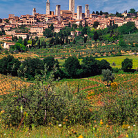 Buy canvas prints of San Gimignano, Italy by Navin Mistry