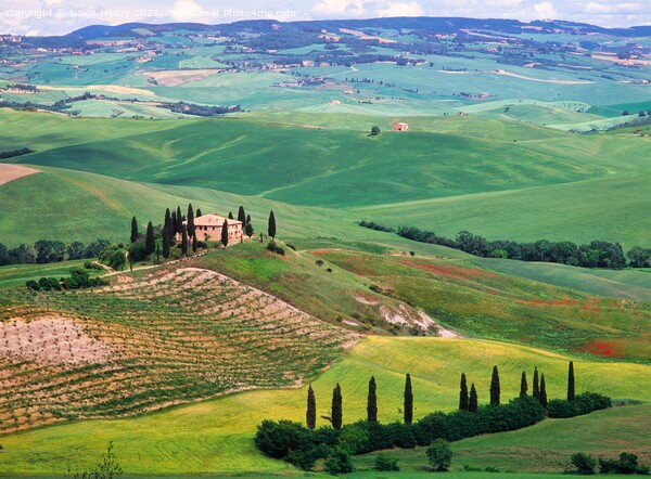 A Farmhouse  and rolling green fields, Val D'Orcia, Tuscany, Italy Picture Board by Navin Mistry