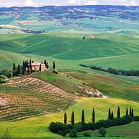 Buy canvas prints of A Farmhouse  and rolling green fields, Val D'Orcia, Tuscany, Italy by Navin Mistry