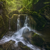 Buy canvas prints of Waterfall in a fairytale-like forest by Manuel Martin