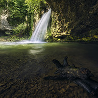 Buy canvas prints of Emerald waterfall by Manuel Martin