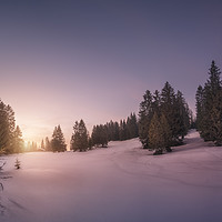 Buy canvas prints of The Beauty of Winter by Manuel Martin
