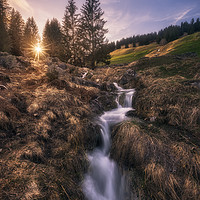 Buy canvas prints of Evening Spring Cascade by Manuel Martin