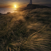 Buy canvas prints of Lighthouse Stories by Manuel Martin