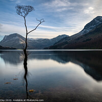 Buy canvas prints of The lake district 'The Lonely One' by Kevin Astley