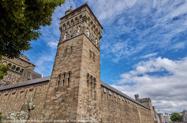 Cardiff Castle, South Wales Picture Board by Gordon Maclaren
