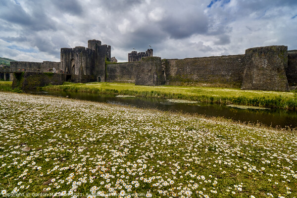 Caerphilly Castle, South Wales Picture Board by Gordon Maclaren