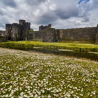 Buy canvas prints of Caerphilly Castle, South Wales by Gordon Maclaren