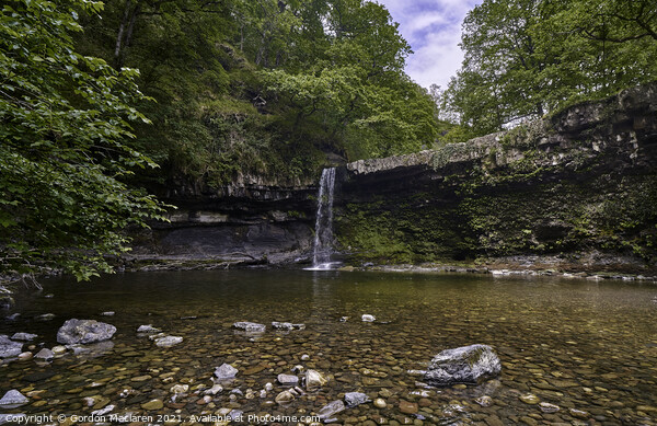 Sgwd Gwladus Waterfall near Pontneddfechan Picture Board by Gordon Maclaren