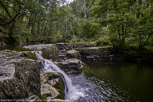 Waterfall on the Afon Pyrddin near Pontneddfechan Picture Board by Gordon Maclaren