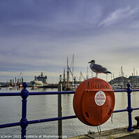 Buy canvas prints of Lifebouy, Falmouth Harbour, Cornwall by Gordon Maclaren
