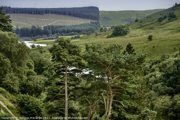 Elan Valley, Powys, Wales Picture Board by Gordon Maclaren
