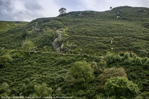 Hillside, Elan Valley, Powys, Wales Picture Board by Gordon Maclaren