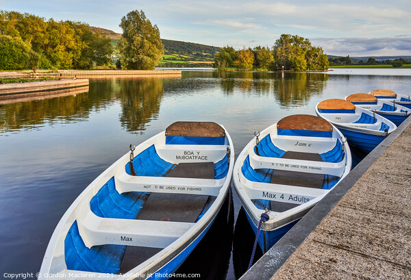 Boats moored in Llangorse Lake Brecon Beacons Picture Board by Gordon Maclaren