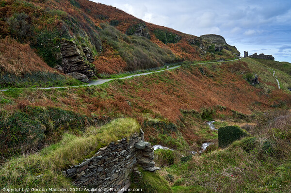 The path to Tintagel Castle, Cornwall Picture Board by Gordon Maclaren