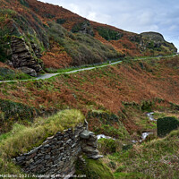 Buy canvas prints of The path to Tintagel Castle, Cornwall by Gordon Maclaren