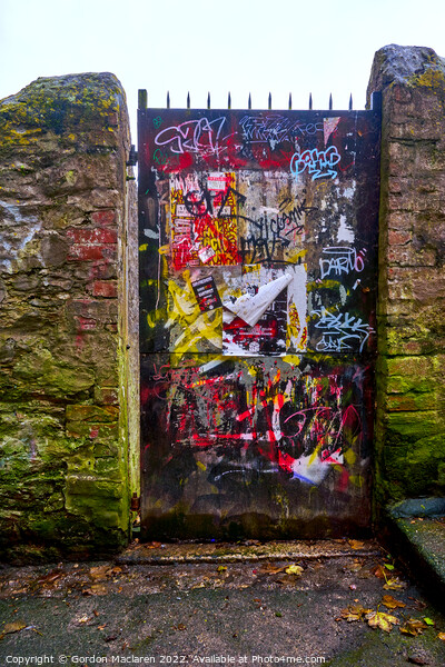 Graffiti covered doorway, Falmouth Picture Board by Gordon Maclaren