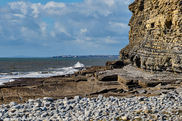 Looking out to Porthcawl from Dunraven Bay Picture Board by Gordon Maclaren