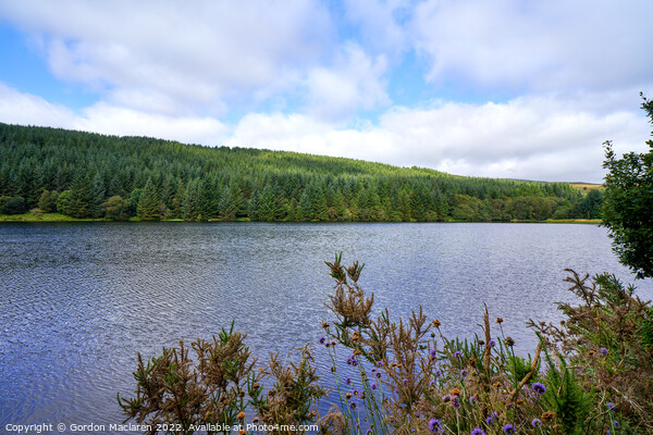 Cantref Reservoir, in the beautiful Brecon Beacons Picture Board by Gordon Maclaren