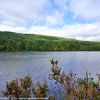 Buy canvas prints of Cantref Reservoir, in the beautiful Brecon Beacons by Gordon Maclaren