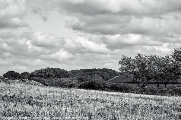North Somerset countryside in Black and White Picture Board by Gordon Maclaren