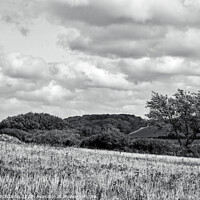 Buy canvas prints of North Somerset countryside in Black and White by Gordon Maclaren