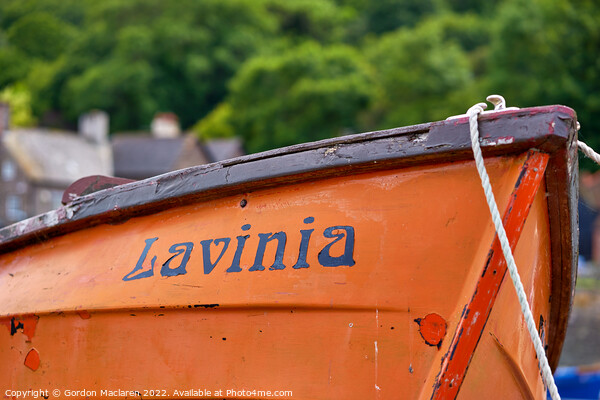 Lavinia, Porlock Weir, Somerset, England Picture Board by Gordon Maclaren